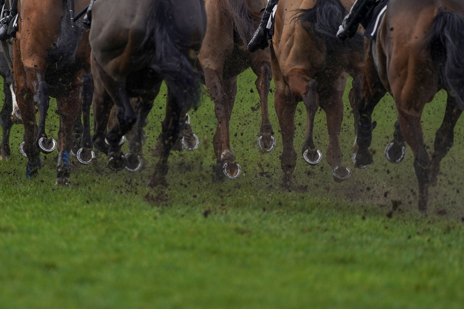 Horse racing